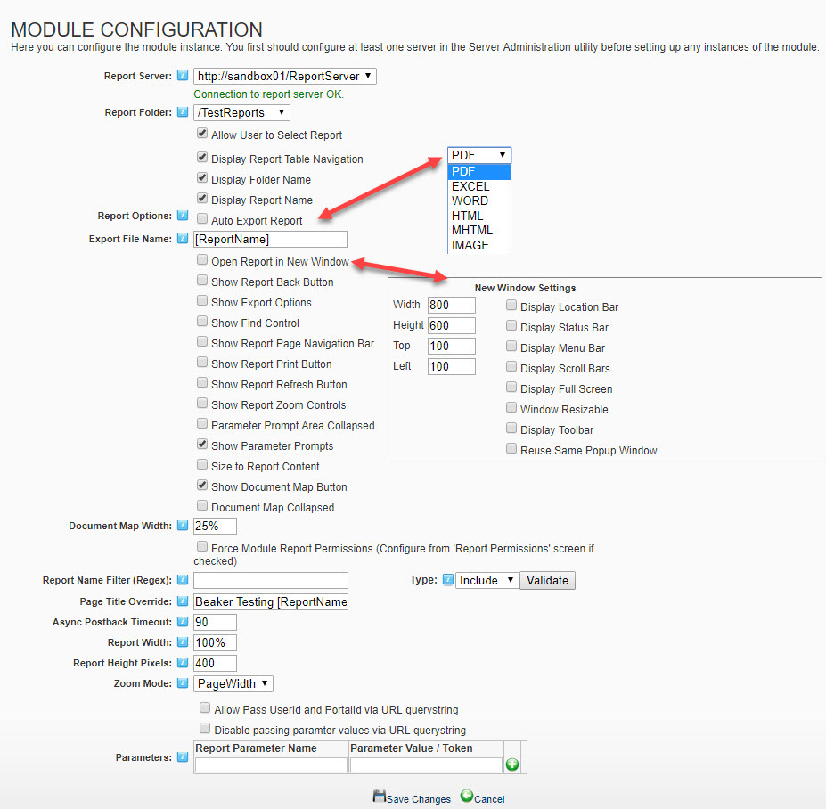 Reporting Services SSRS DNN Settings